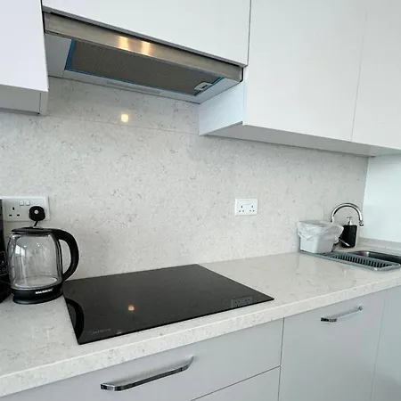 Modern One-bedroom In Popular Area Apartment